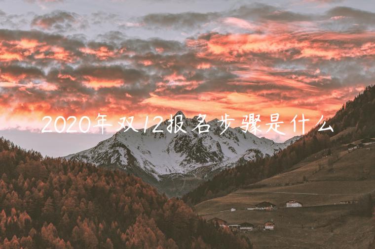 2023年雙12報名步驟是什么